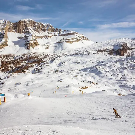 Bilo Stelvio